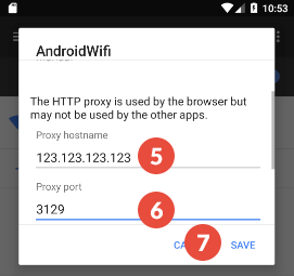 Proxy Server Details