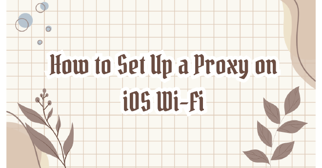 How to Set Up a Proxy on iOS Wi-Fi